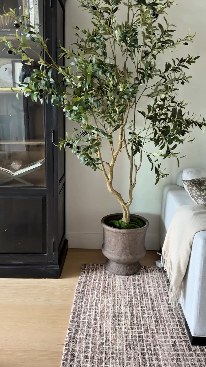 The amount of olive trees I went through to get this one is A LOT. And after extensive research this is the one I’ve landed on and keep coming back to it. 

It’s an under $100 for the 6ft in Canada right now and under $75 in the USA.

#LTKcanada #LTKhome #LTKsale