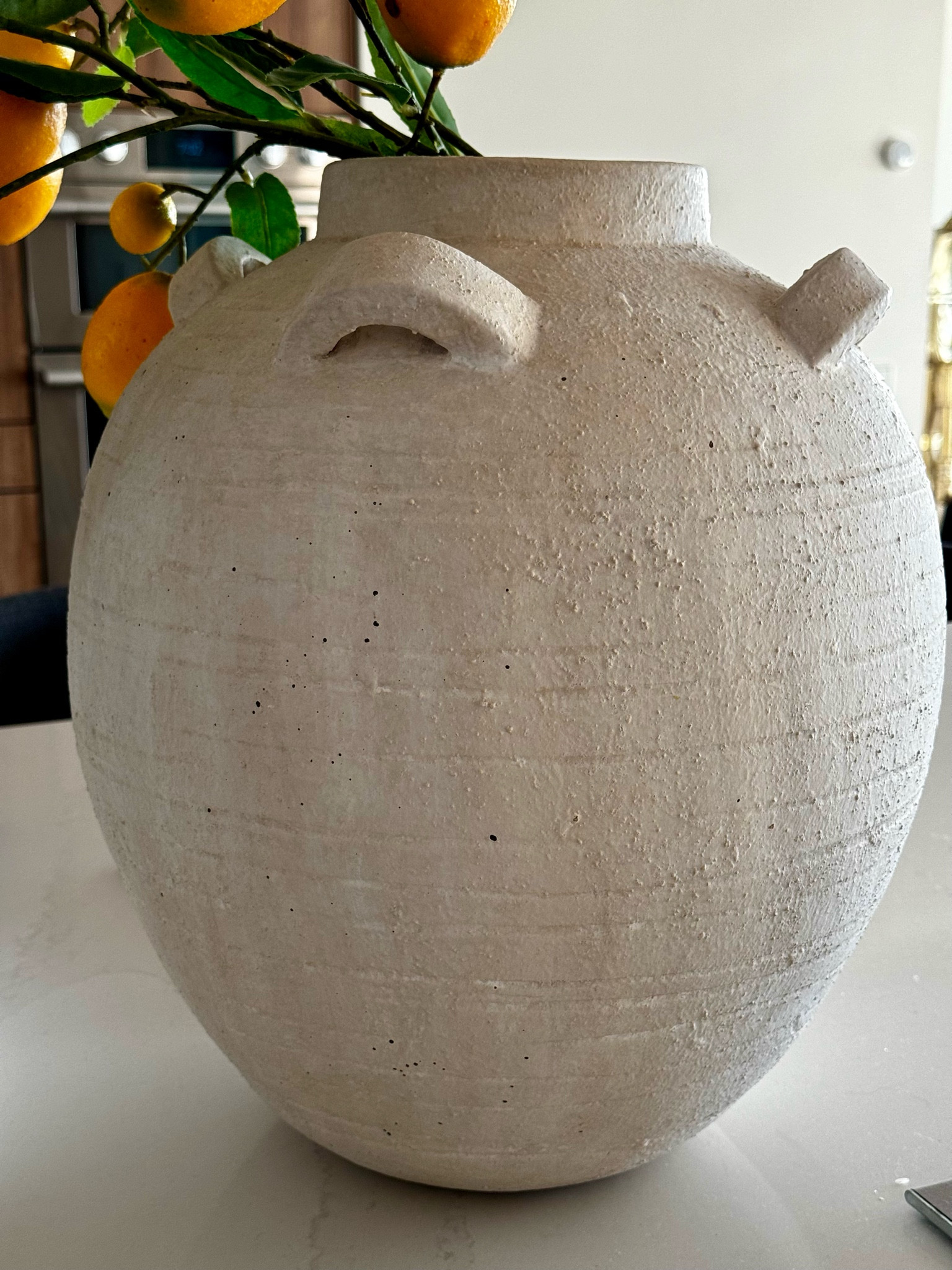 Favorite large vase
Tabletop decor, kitchen decor, home decor, Tuscan vase, Arhaus find, home style, modern design 