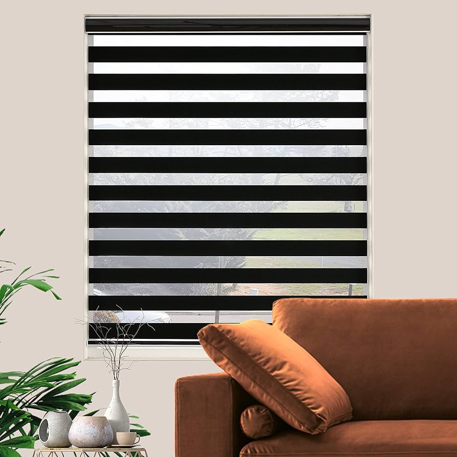 Zebra Roller Shades, Dual Layer Roll Up Blind for Living Room, Semi Sheer Shades Window Treaments... | Amazon (US)