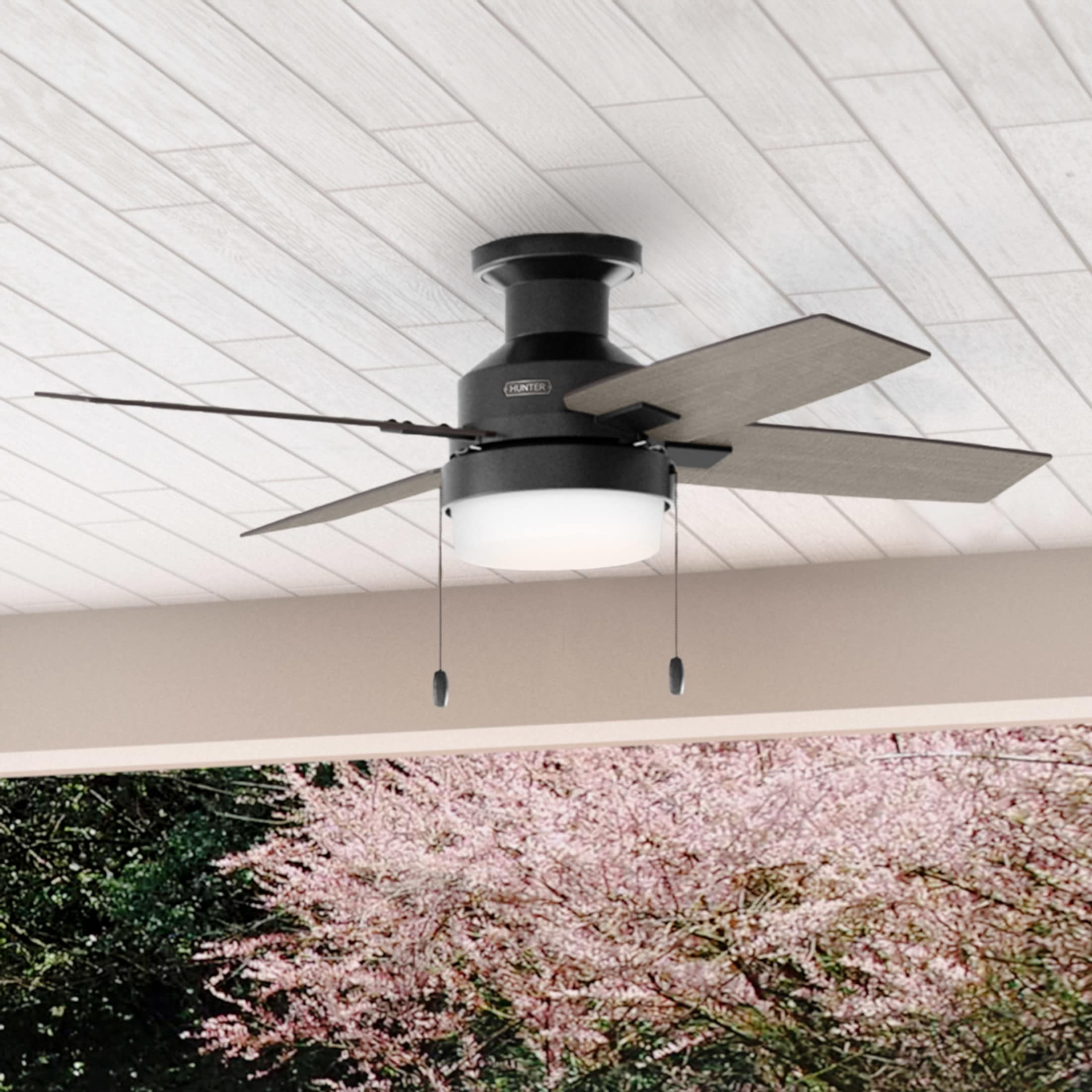Hunter Port Haven 44-in Outdoor Flush Mount Matte Black with Black Willow/Greyed Walnut Blades Ceiling Fan With Light ( 4 -Blade ) | 50178 | Lowe's