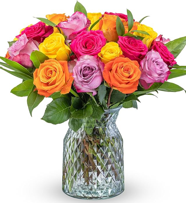 Benchmark Bouquets - Roses Bouquet Assorted Colors - Fresh Flowers for Delivery - Two Dozen Long ... | Amazon (US)