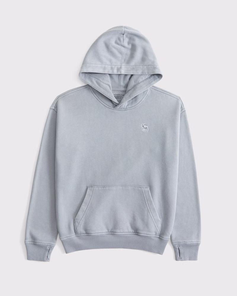 boys essential icon hoodie | boys tops | Abercrombie.com | Abercrombie & Fitch (US)