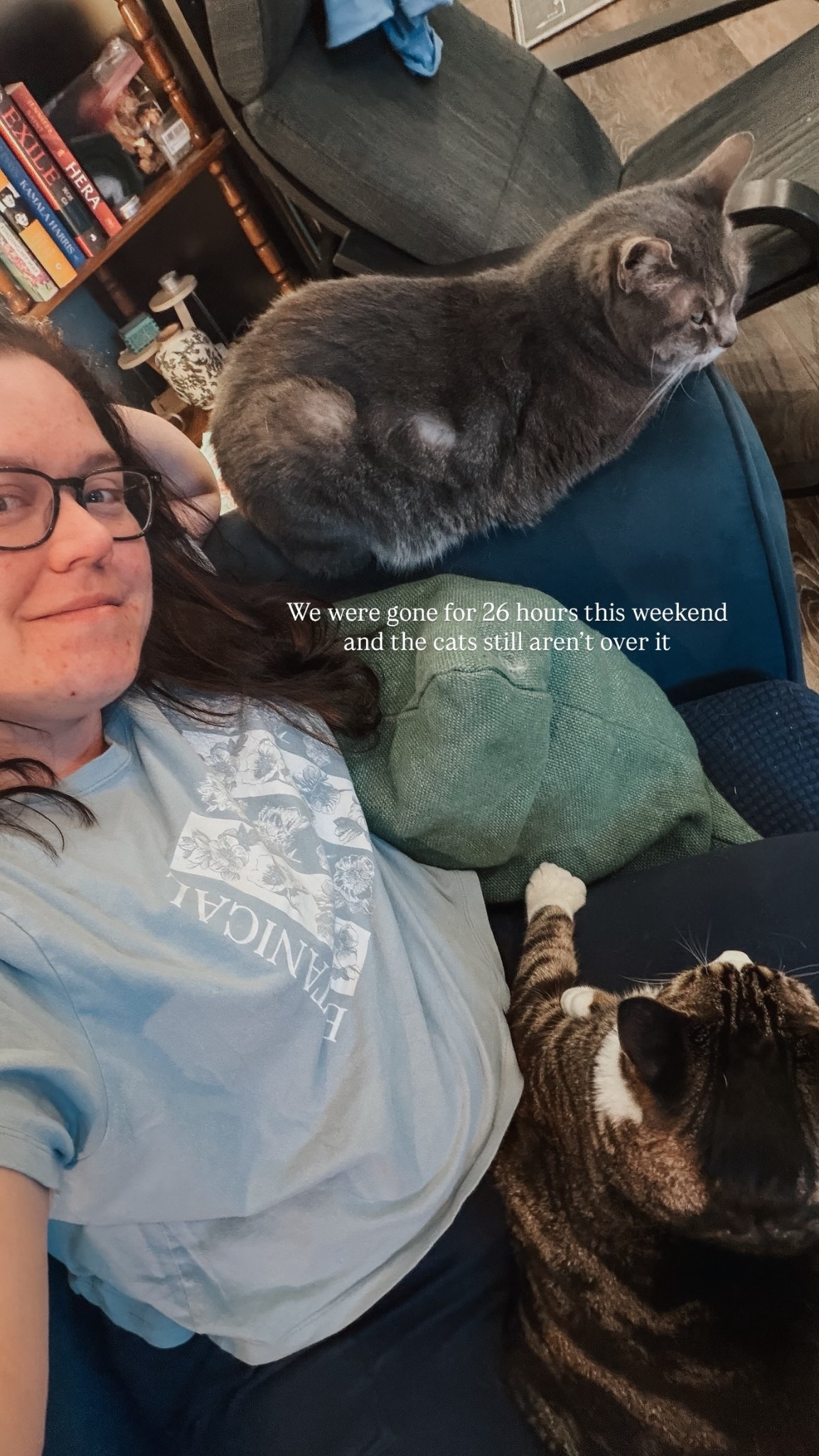 We were gone for 26 hours this weekend and the cats still aren’t over it (tee is old, similar style tagged)

#LTKstorytime #LTKHome #LTKdayinmylife