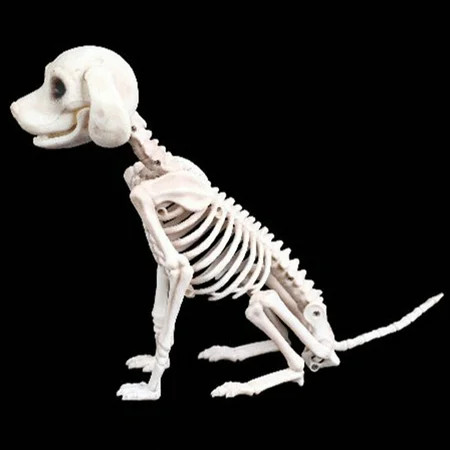 Halloween Skeleton Dog Prop Animal Bones Party Shop Decoration Horror | Walmart (US)
