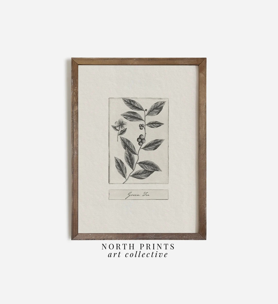 Kitchen Botanical Green Tea Sketch Wall Art, PRINTABLE Plant Drawing, Dining Room Decor Downloada... | Etsy (US)