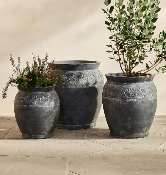 Magnolia Terracotta Planter | Rejuvenation