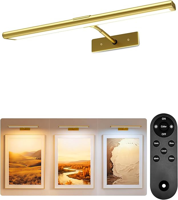 EZVALO Picture Light for Wall, 4800mAh Rechargeable Wireless Remote, 16in Dimmable Magnetic LED A... | Amazon (US)