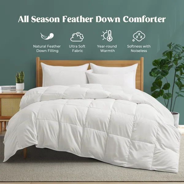 600 Fill Power Goose Down and Feather All Season Comforter | Wayfair North America