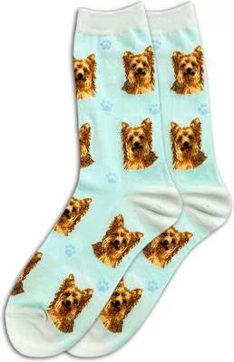 E&S PETS Yorkie Sock Daddy, Teal, one size | Chewy