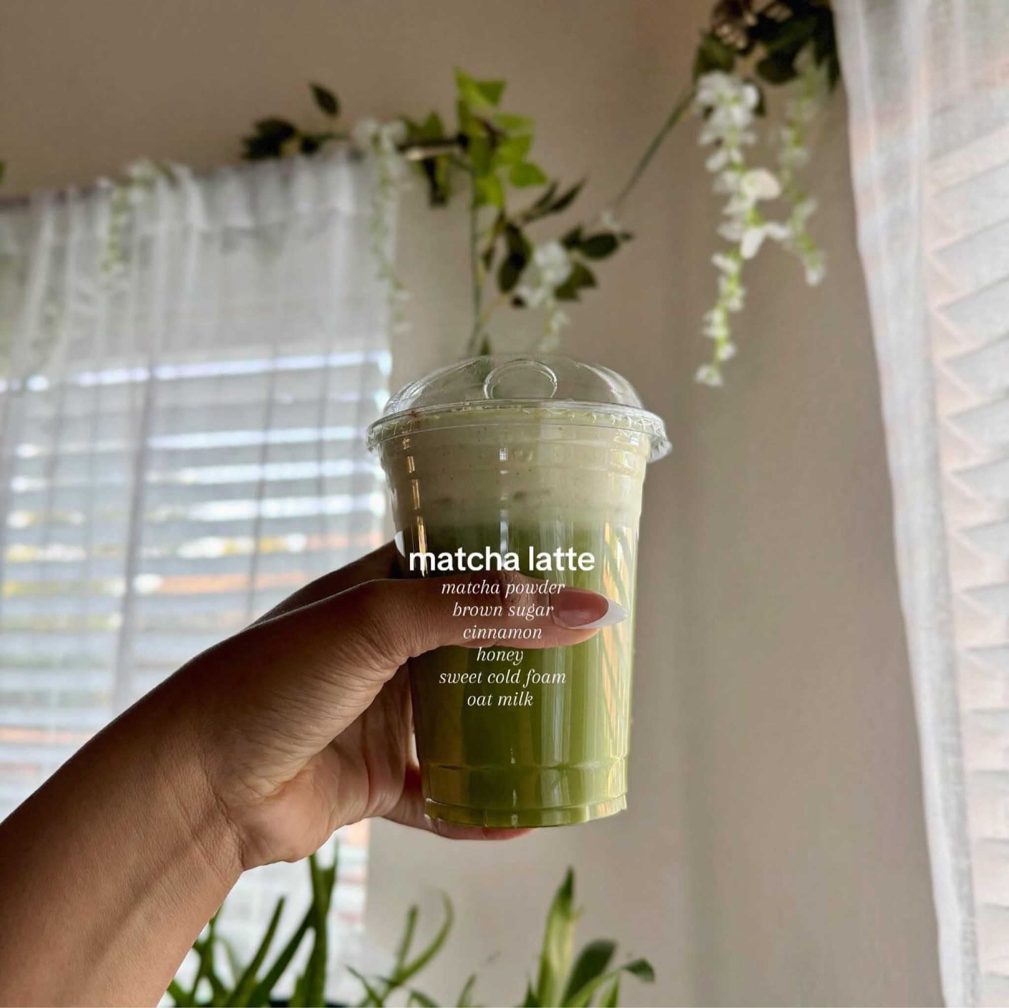 Go to matcha latte recipe!

#LTKfindsunder50 #LTKSeasonal #LTKhome
