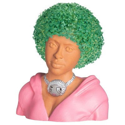 NECA Ice Spice Chia Pet | Target