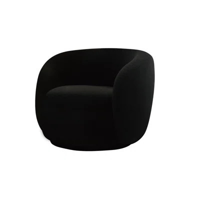 Molina Black Accent Chair | Wayfair North America