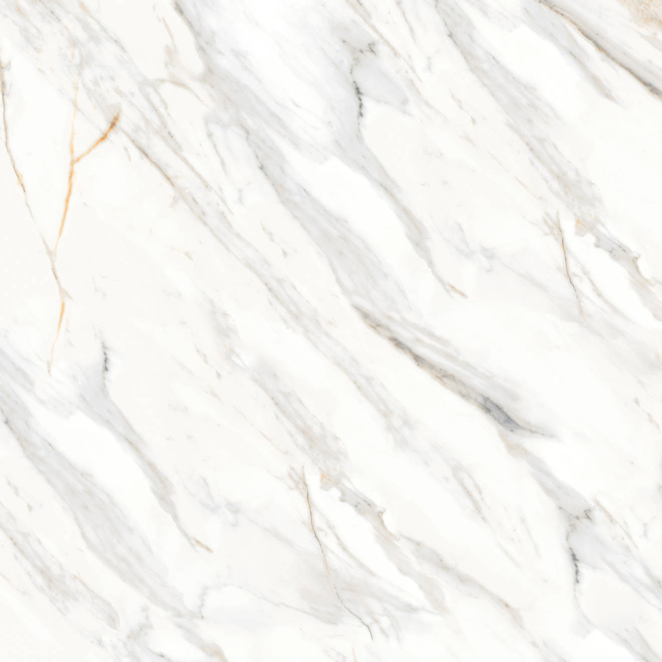 Shandar 48" x 48" Matte Porcelain Field Tile in Arezzo Bianco | Bedrosians Tile and Stone