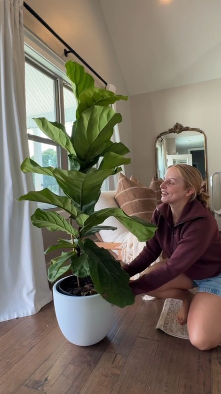 Happy Memorial Day!! 🇺🇸 Also, MEET DOLLY! And to think I almost bought a $300 faux tree that was in my cart for months! Dolly is a pretty little fiddle fig for $40, water it once a week and pot was only $19! ♥️🫶🏼 what do you think? #livingroom

#LTKFamily #LTKHome #LTKStyleTip