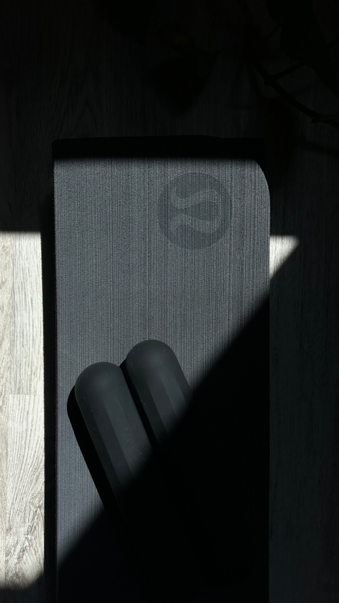 Lululemon foldable mat
Pilates weights



#LTKFindsUnder100 #LTKActive #LTKFindsUnder50