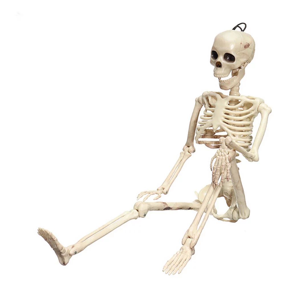 Mortilo Halloween Skeleton Skeleton Party Funny Toy - Walmart.com | Walmart (US)