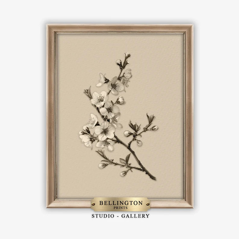 Printable Vintage Cherry Blossom Wall Art, Japanese Floral Art Print, Antique Botanical Illustrat... | Etsy (US)