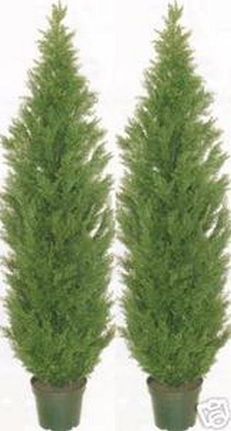 Two 5 Foot Artificial Topiary Cedar Trees Potted Indoor Outdoor Plants | Amazon (US)