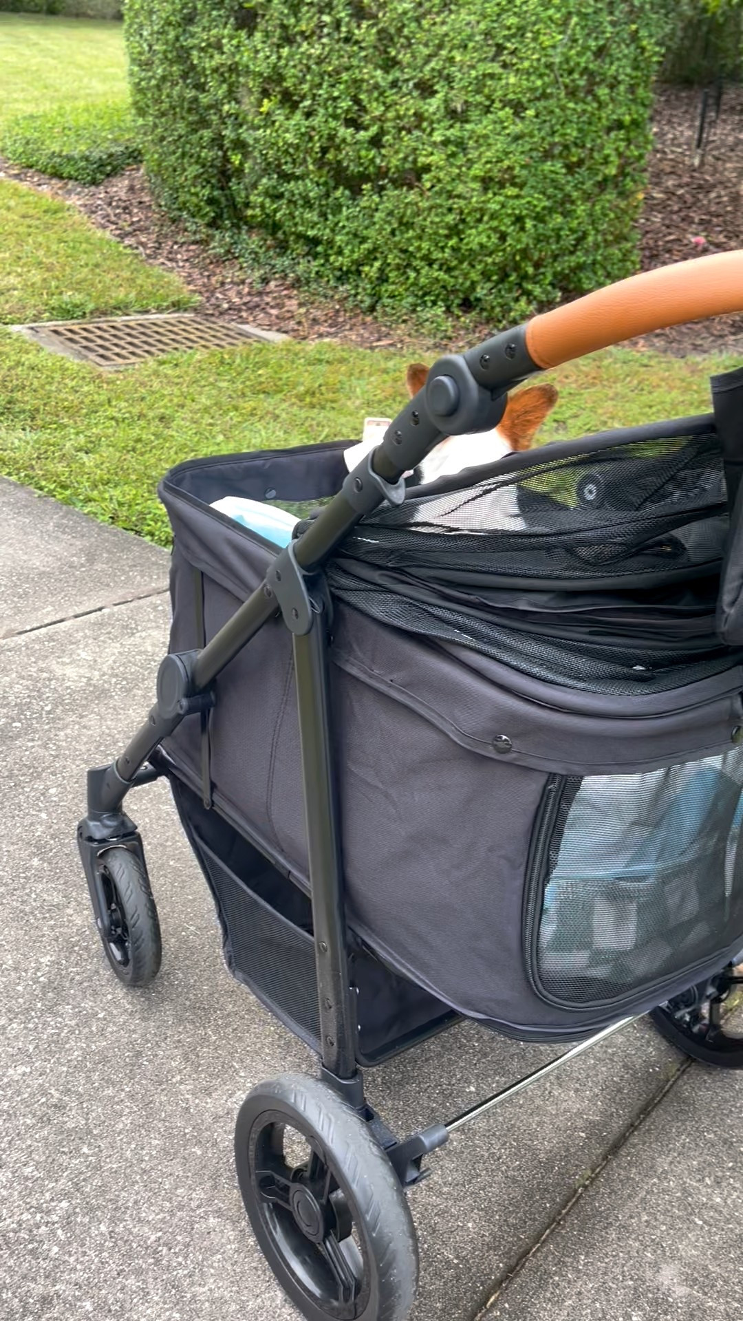 The only dog stroller you needd

#LTKTravel #LTKSaleAlert #LTKPets