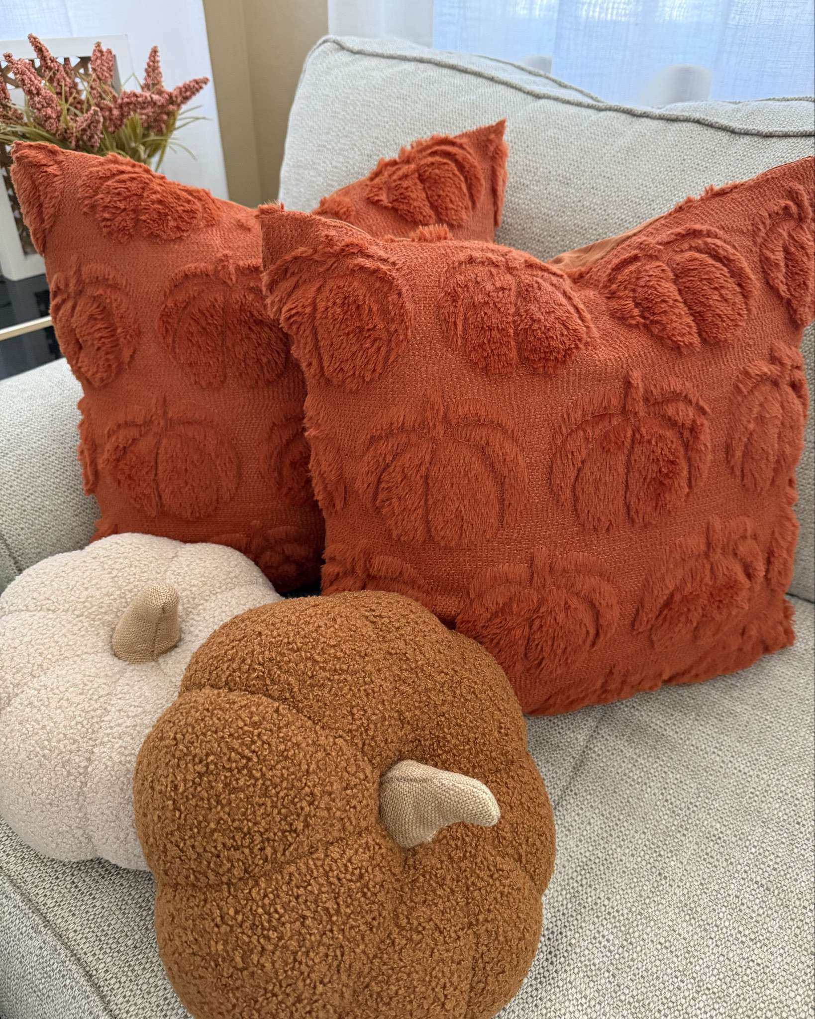 Adorable and budget-friendly fall throw cover pillows for under $15 from Amazon. 



Amazon fall decor, affordable fall decor, budget friendly fall decor, Amazon fall pillows, pumpkin pillows, pumpkin shaped pillows, Amazon fall decorations, fall decor on a budget #LTKautumn #LTKFindsUnder50

#LTKSeasonal #LTKHome #LTKSaleAlert #LTKmomlife