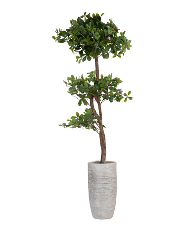 6ft faux olive tree with real bark covered trunk | TJ Maxx