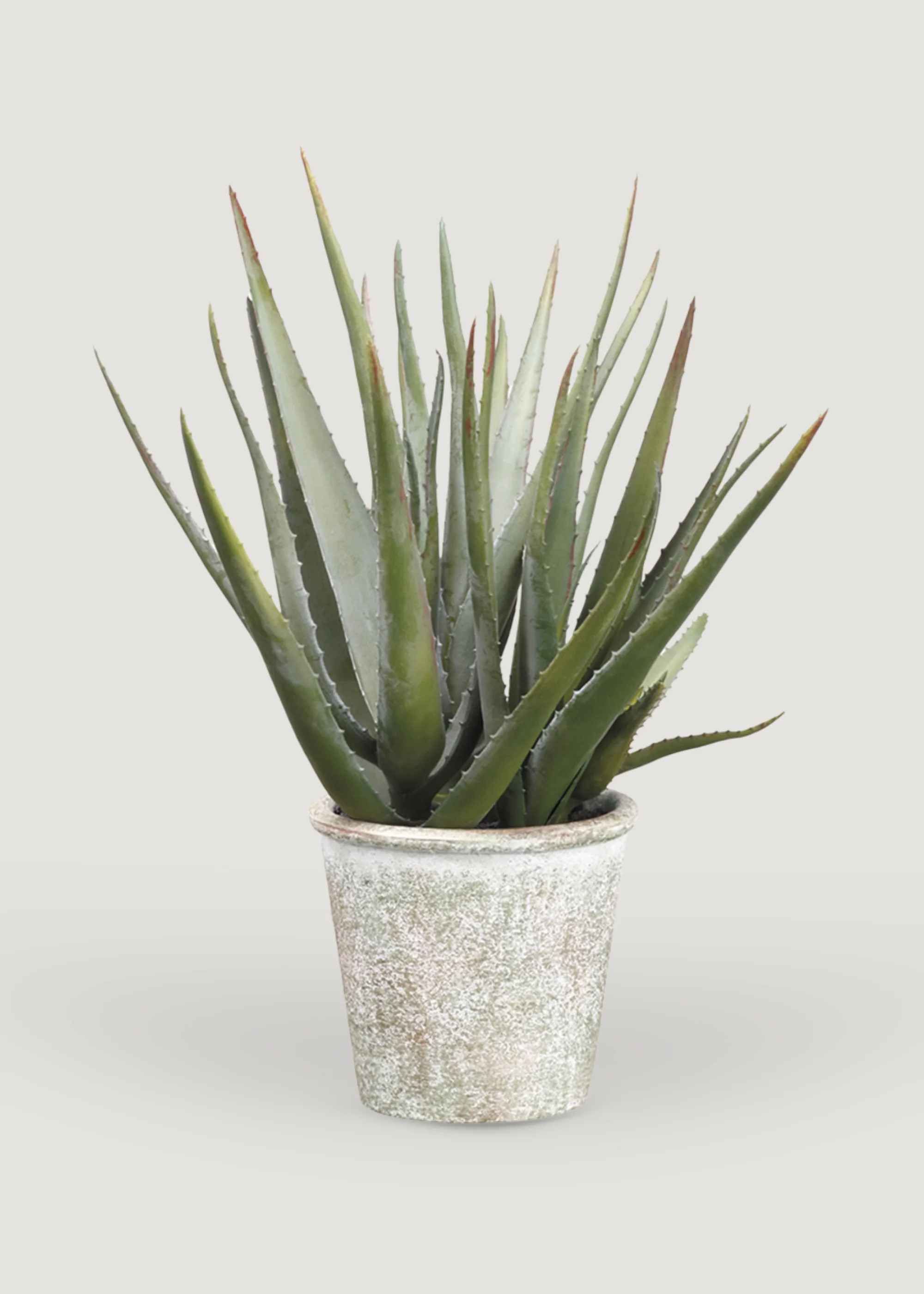 Agave Plant in Paper Mache Pot | Artificial Potted Plants at Afloral | Afloral