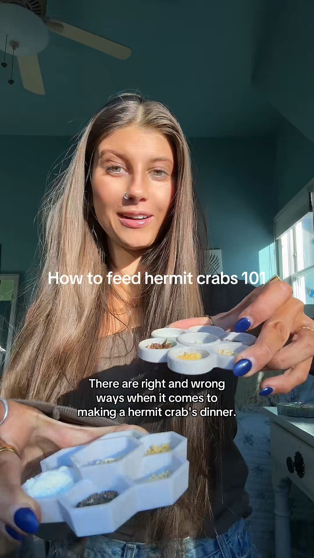 Feeding your hermit crabs 101