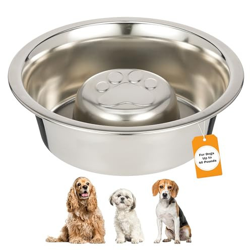 Neater Pet Brands Stainless Steel Slow Feed Dog Bowl for Fast Eating Medium Breed, Metal Slow Feeder Dog Bowl Fits in Medium Neater Feeder Deluxe, for Puppy or Dogs (19-40 lbs), 1 Cup Food Capacity | Amazon (US)