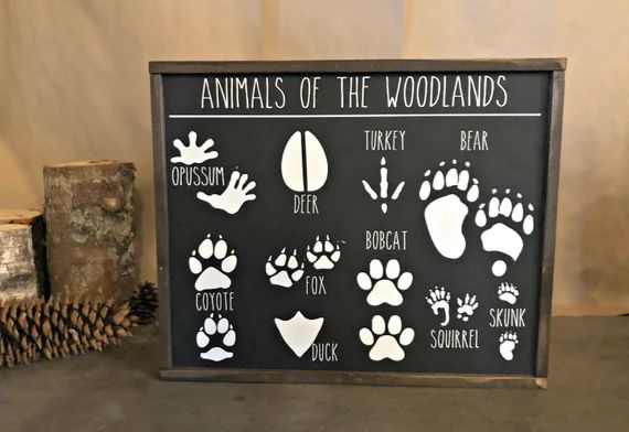 Animals of the Woodlands Sign - Animal Footprints Sign - Animal Tracks Sign - Woodland Nursery Si... | Etsy (US)