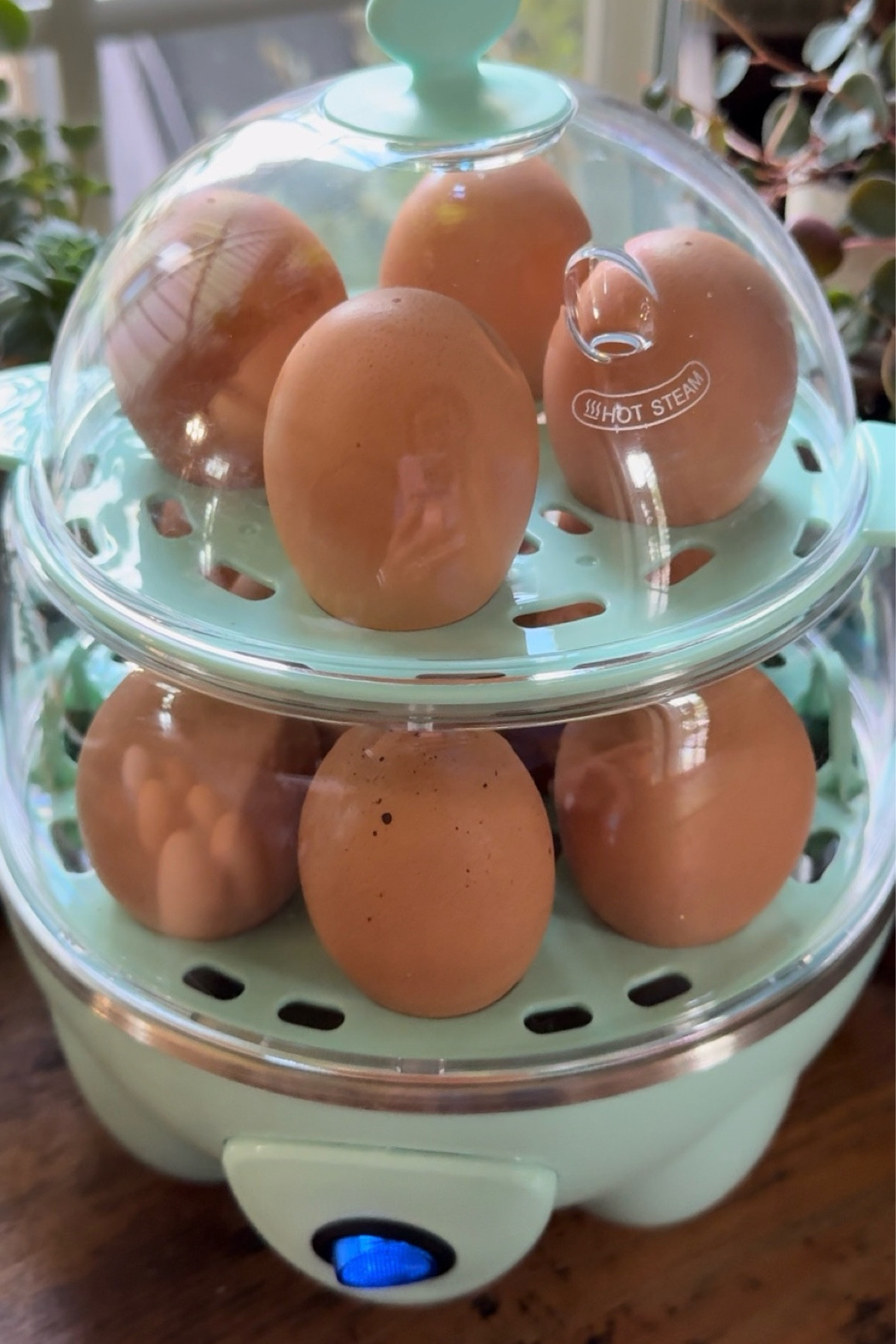 Beat Egg Cooker Ever!! Double Deckerr

#LTKFindsUnder50 #LTKU #LTKHome