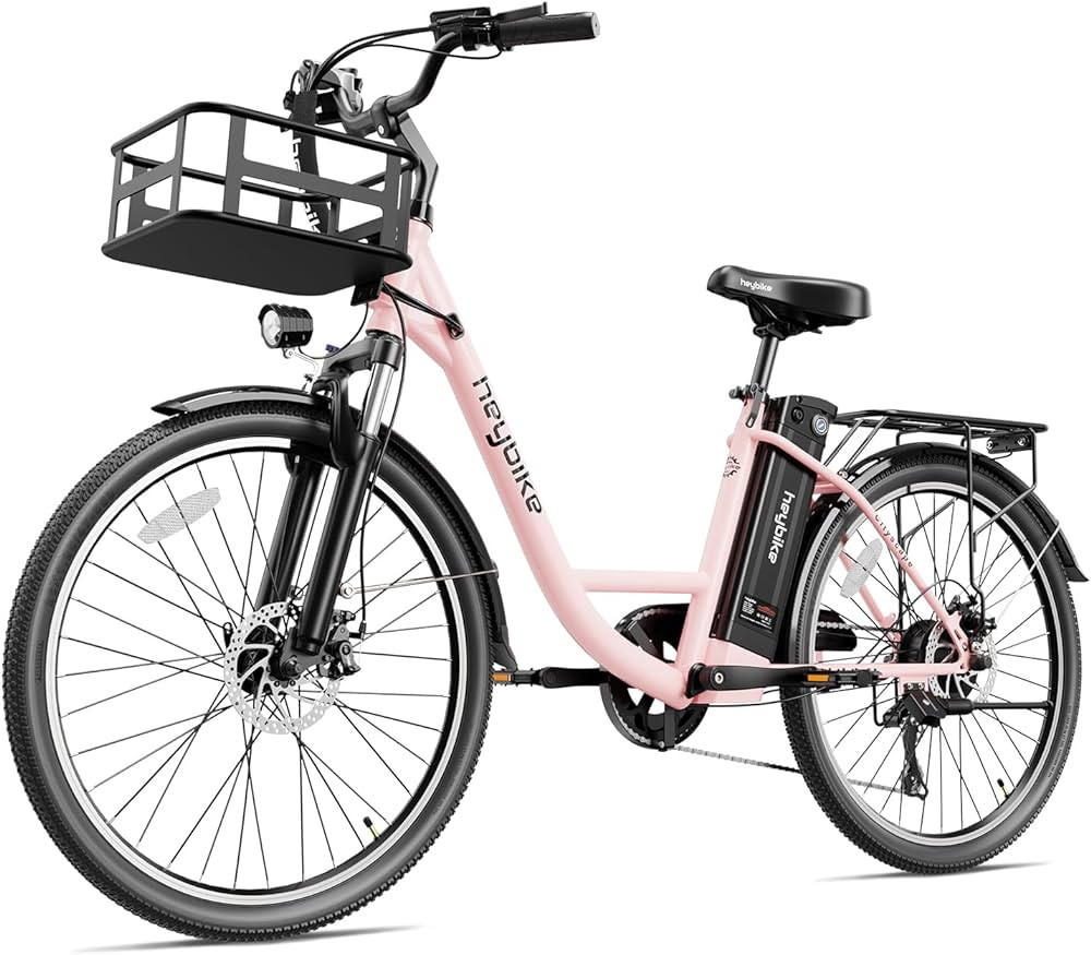 Visit the Heybike Store | Amazon (US)