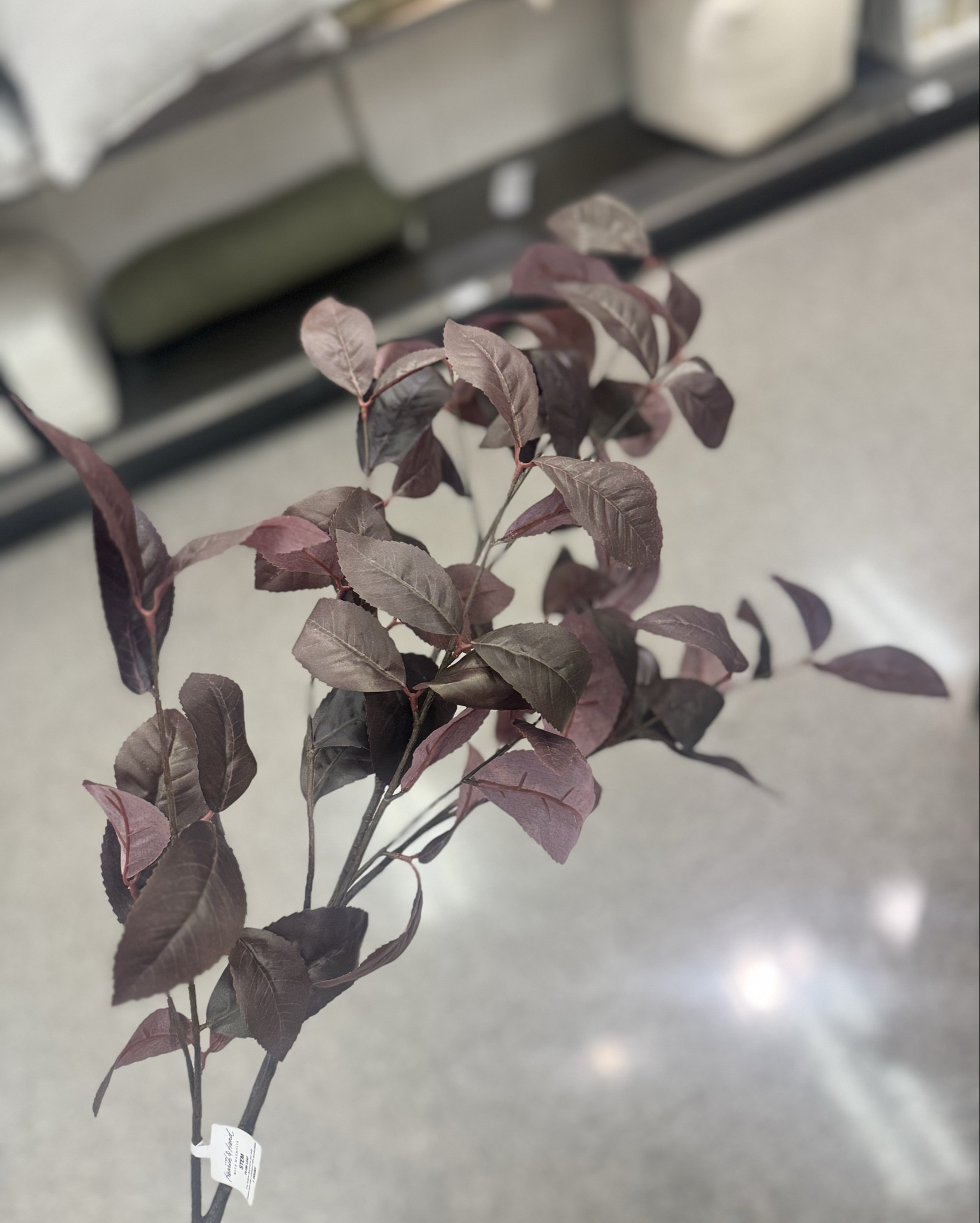 Afloral dupe! 


Fall stems, target 

#LTKSeasonal