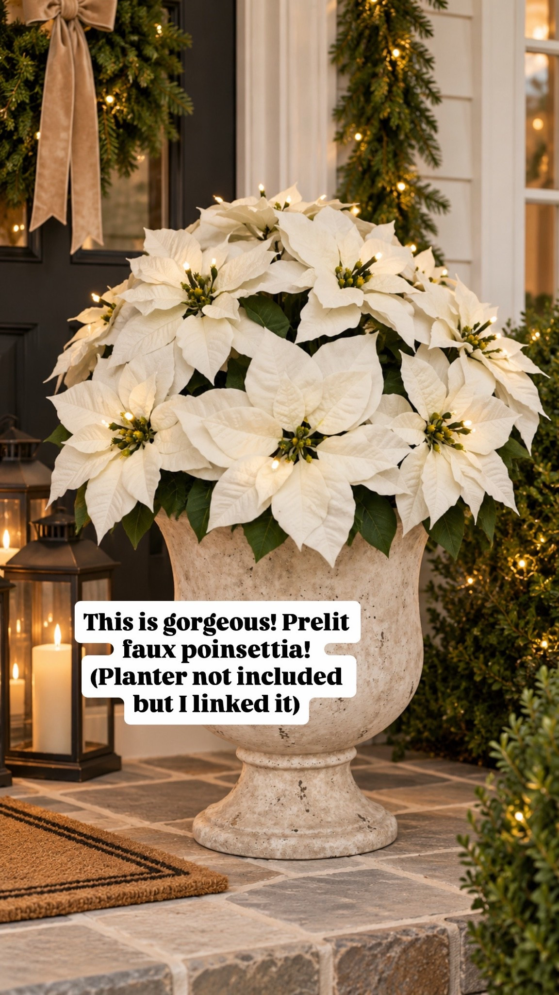 The easiest way to make your Christmas porch feel festive? 🤍🎄 These faux, pre-lit white poinsettias!

Pop them into a beautiful urn and you instantly have a gorgeous Christmas moment—with zero watering and no worrying about keeping them alive. 🙌🏻 And the built-in lights make them even prettier once the sun goes down!

(Comes in red too)

I linked the planter + pre-lit poinsettias in my LTK! ✨

#LTKHome #LTKSeasonal