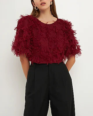 Endless Rose Gridded Mesh Feathered Cropped Top | Express