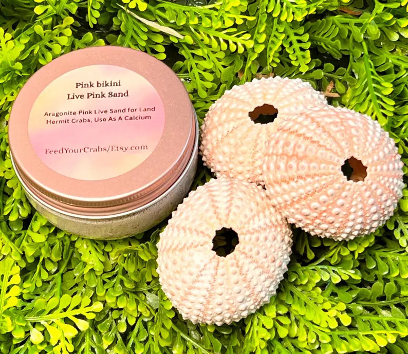 Pink Bikini Aragonite Live Sand for Hermit Crabs, Natural Calcium Substrate, Includes 1 Urchin | Etsy (Global)