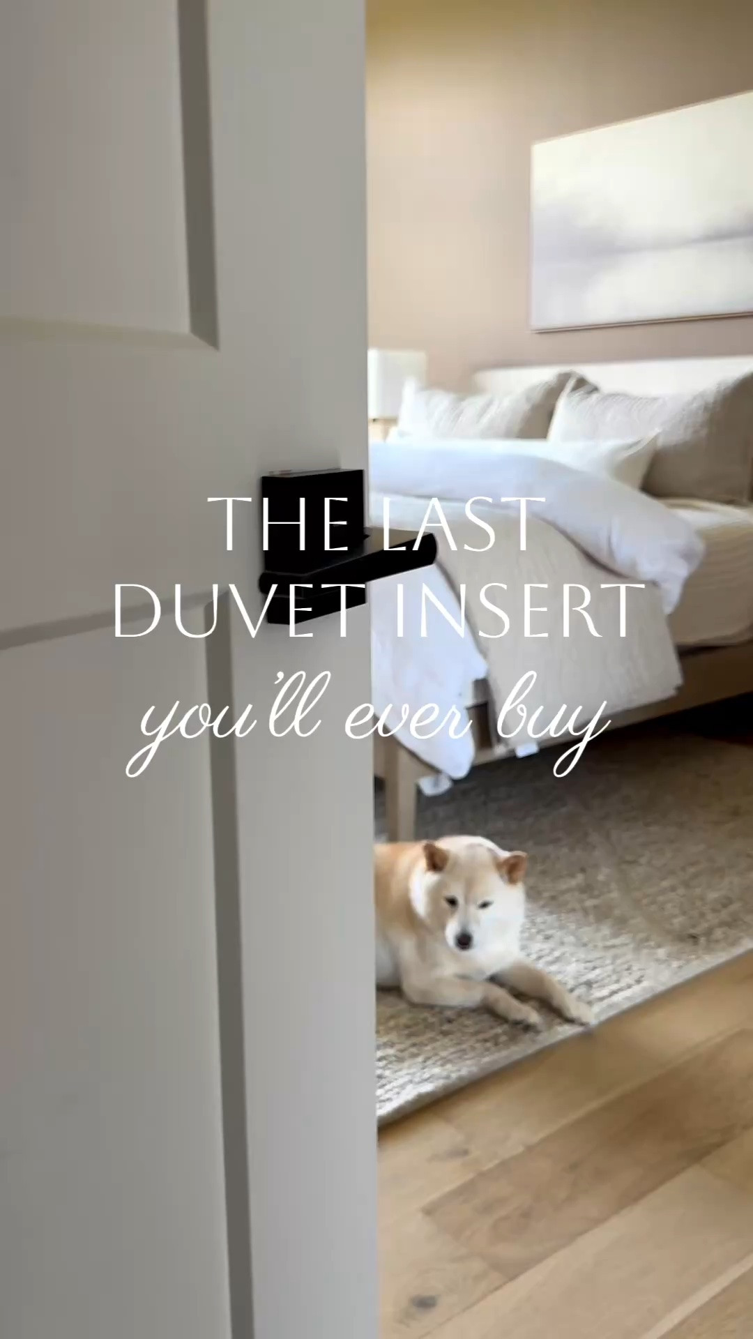 Amazon prime big deal day savings on my bedding. Great duvet cover and insert that looks designer but for less.