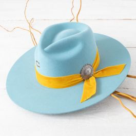 Charlie 1 Horse Baby Blue Sundance | Rod's Western Palace/ Country Grace