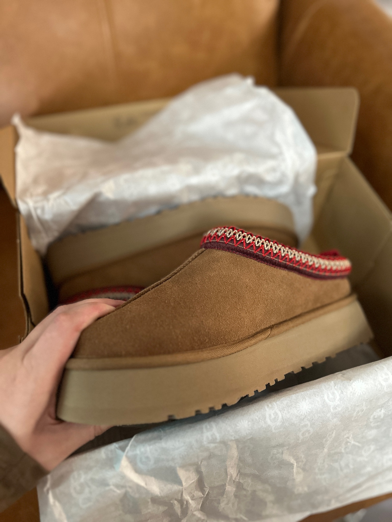 A little gift for me! Tazz in stock! 🍁 

#LTKSeasonal #LTKshoecrush