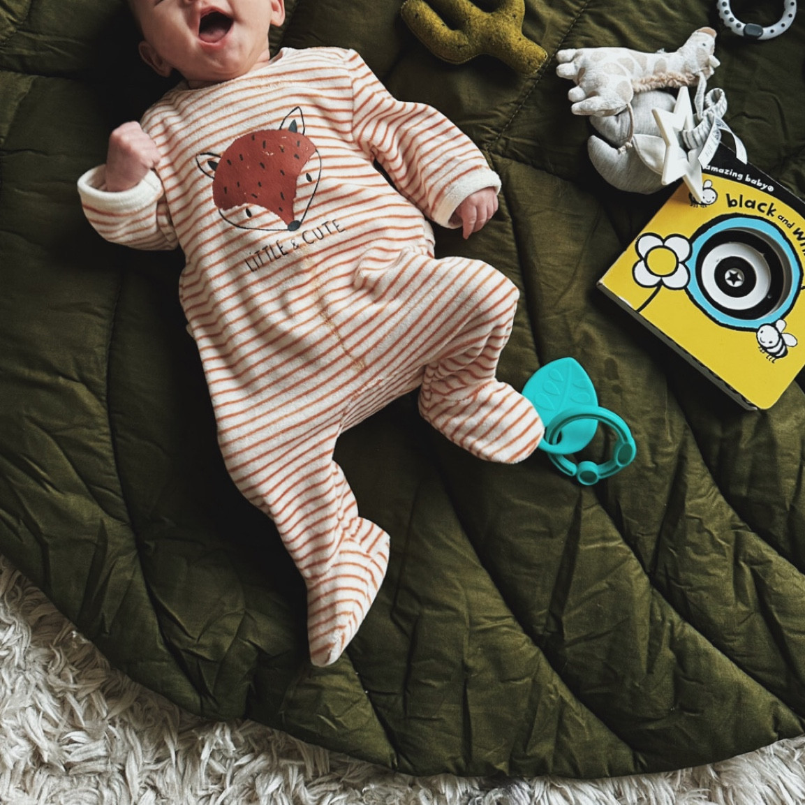 #LTKbump #LTKfamily #LTKbaby