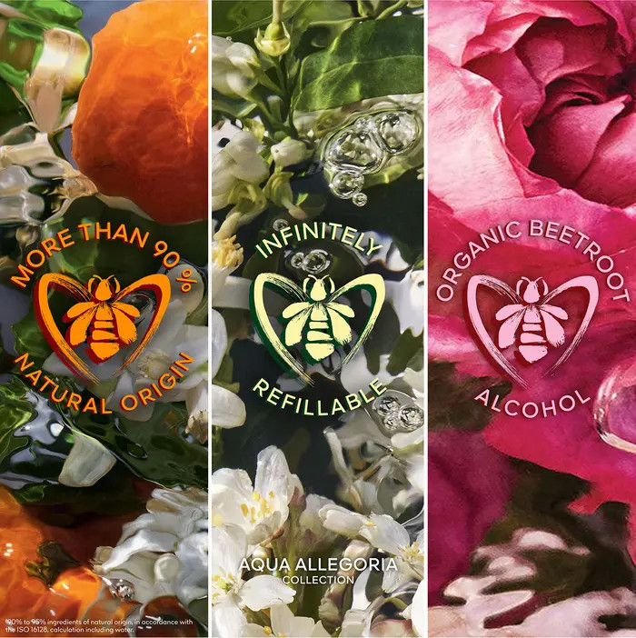 Aqua Allegoria Rosa Verde Perfume | Nordstrom