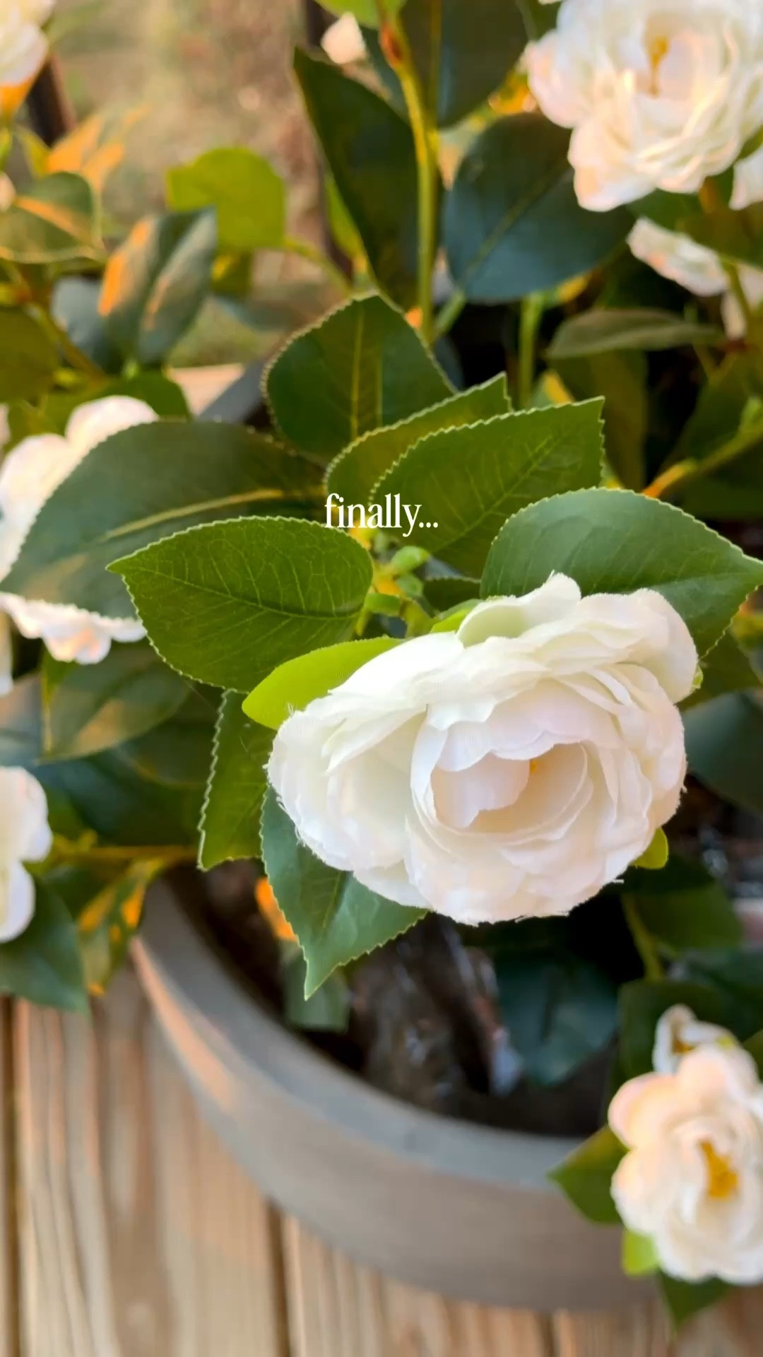 Finally a faux flower I can’t kill