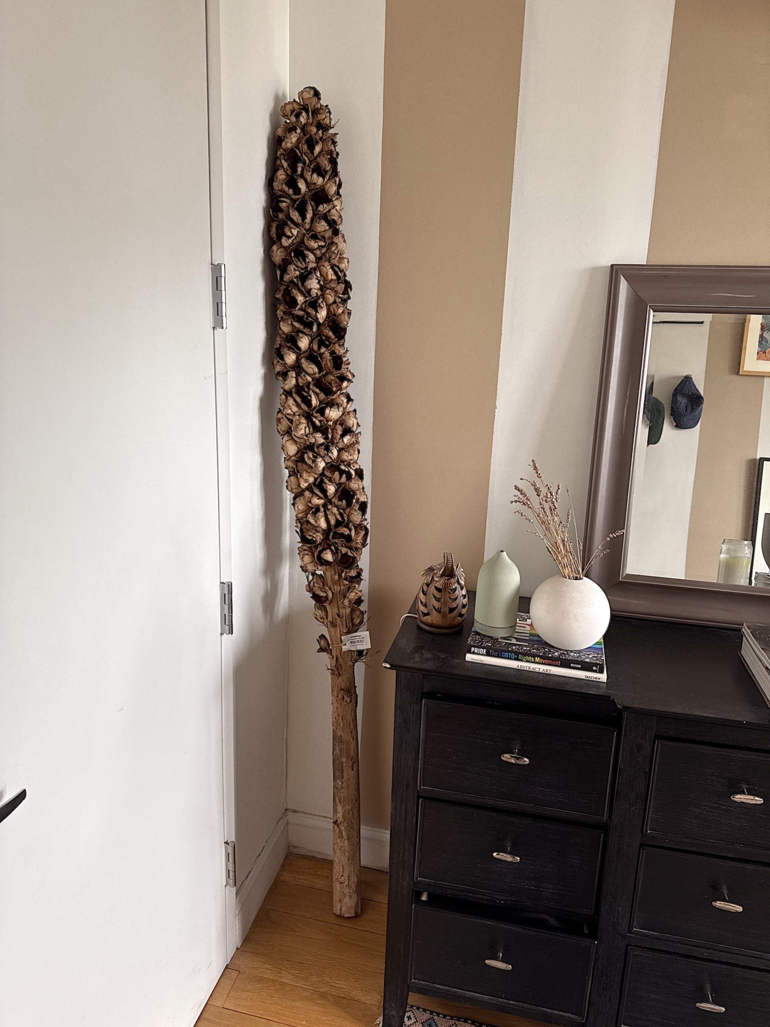 Home decor dried seed pod!

#LTKStyleTip #LTKHome #LTKSaleAlert