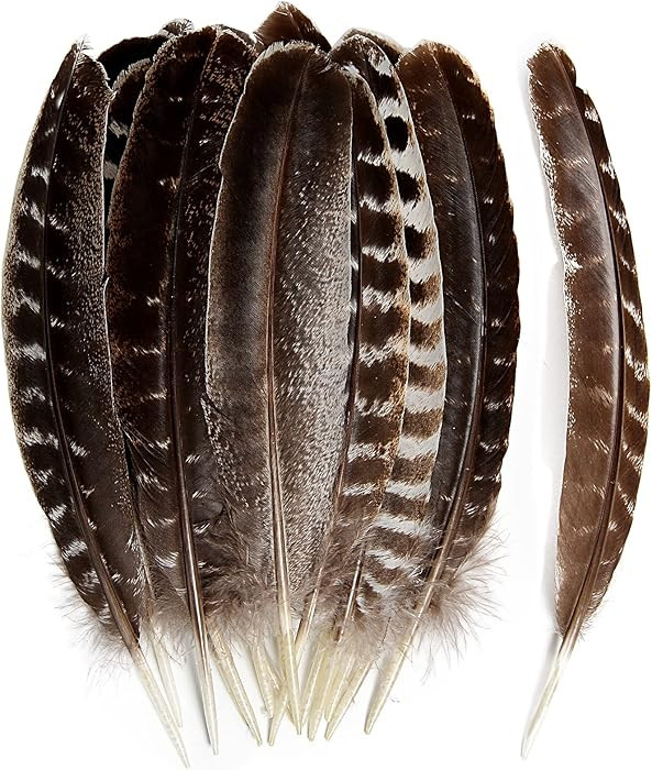 THARAHT 24pcs Natural Wild Turkey Wing Feathers Quill Bulk 8-10inch 20-25cm for DIY Crafts Projec... | Amazon (US)