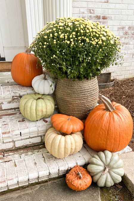 The BEST faux pumpkins that look super realistic! They’re made of resin so they don’t blow away easily from a front porch. 

#fall #falldecor #homedecor #fallporch #porchdecor #pumpkins #pumpkindecor #fauxpumpkins #artificialpumpkins #fakepumpkins #AmazonHome #Wayfair 

#LTKSeasonal #LTKHalloween