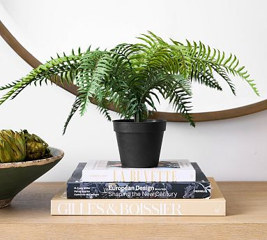 Faux Potted Wild Fern | Pottery Barn (US)