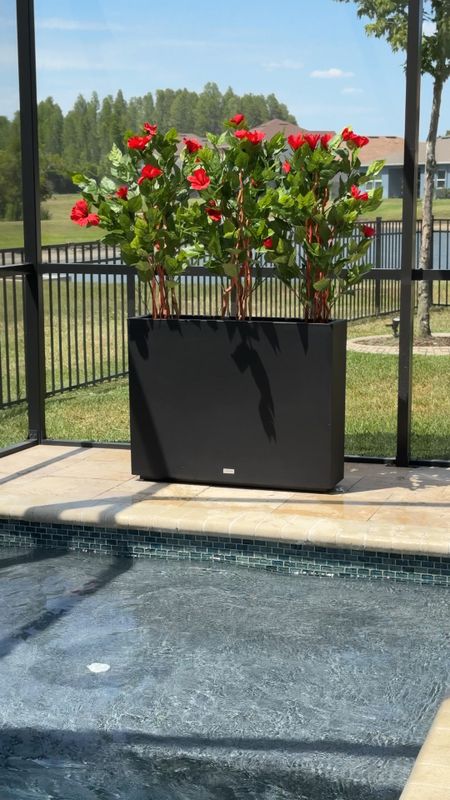 These hibiscus trees are so realistic! They pair perfectly with this rectangular planter. Provides privacy from the neighbors too! 


Nearly Natural, UV safe hibiscus, rectangular planter, modern planter, privacy fence 

#LTKFindsUnder100 #LTKHome #LTKVideo