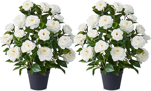 VeriNatural Artificial Camellia Tree,2Ft(24") UV Resistant Artificial Outdoor Flowers,Fake Tree w... | Amazon (US)