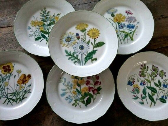 Beautiful bright set of Six Wild Flower Plates by Bareuther Waldsassen made in Bavaria Germany Fa... | Etsy (US)