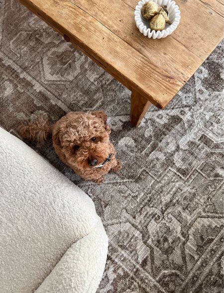 I love our new neutral living room
Rug! 15% off coupon can be applied! It’s from the new loloi collection with Magnolia by Joanna Gaines! 

#LTKhome #LTKsalealert
