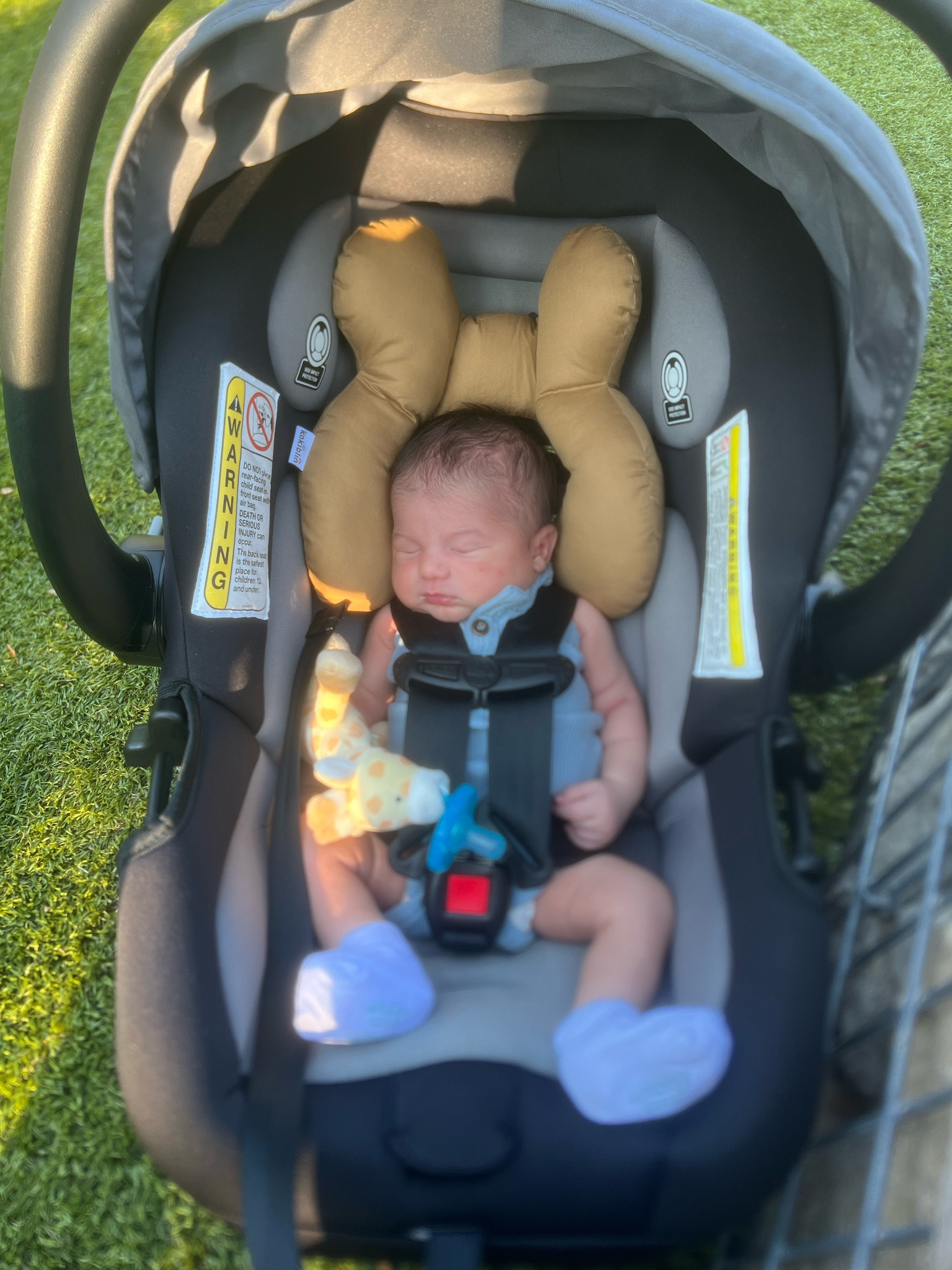 First park adventure with Rowan 🤍 his neck pillow was a life saver. Moms with newborns- this can grow with your kiddo! 

#LTKFind #LTKkids #LTKfamily